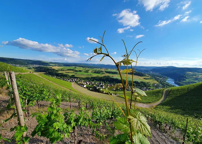 Ferienhaus Fisch - Nur Urlaubsgaeste